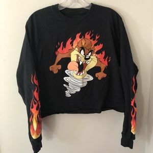 Long sleeved cropped top from Forever 21